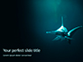 Hammerhead Shark in Deep Water Presentation slide 1