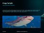 Hammerhead Shark in Deep Water Presentation slide 10