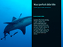 Hammerhead Shark in Deep Water Presentation slide 9