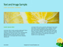 Cucumber Lemon and Mint Water Presentation slide 14