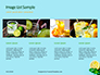 Cucumber Lemon and Mint Water Presentation slide 16