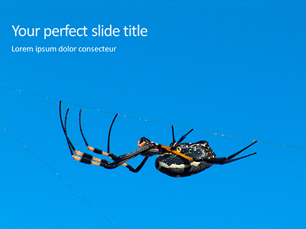 Big Garden Spider on Cobweb Presentation Presentation Template, Master Slide