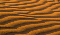 Patterns on Sand Presentation Presentation Template