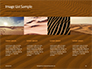 Patterns on Sand Presentation slide 16