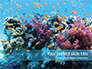 Underwater Coral Reef and Tropical Fish Presentation slide 1