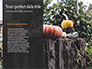 Halloween Carved Pumpkin in Darkness Presentation slide 9
