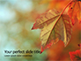 Maple Leaf at Fall Presentation slide 1
