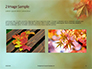 Maple Leaf at Fall Presentation slide 11
