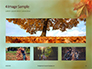 Maple Leaf at Fall Presentation slide 13