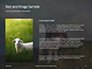 Female Sheep with Lamb Presentation slide 15