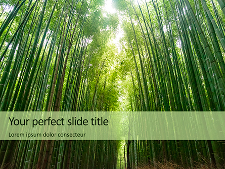 Green Bamboo Trees Presentation Presentation Template, Master Slide