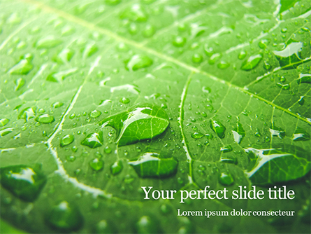 Green Leaf with Drops of Water Presentation Presentation Template, Master Slide