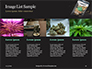 Cannabis on Plastic Bag Presentation slide 16