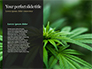 Cannabis on Plastic Bag Presentation slide 9