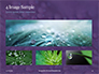 Water Drops on Purple Leaf Presentation slide 13