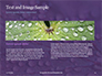 Water Drops on Purple Leaf Presentation slide 14