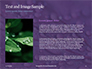 Water Drops on Purple Leaf Presentation slide 15