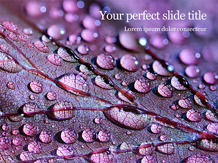 Water Drops on Purple Leaf Presentation Presentation Template, Master Slide