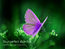 Purple Butterfly on Green Plant Presentation slide 1