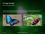 Purple Butterfly on Green Plant Presentation slide 11