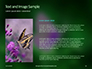 Purple Butterfly on Green Plant Presentation slide 15