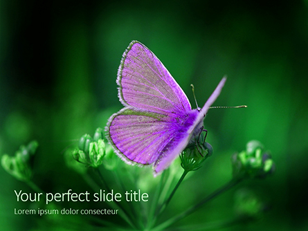 Purple Butterfly on Green Plant Presentation Presentation Template, Master Slide