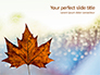 Maple Leaf on Festive Bokeh Background Presentation slide 1