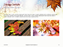 Maple Leaf on Festive Bokeh Background Presentation slide 11