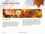 Maple Leaf on Festive Bokeh Background Presentation slide 14