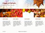 Maple Leaf on Festive Bokeh Background Presentation slide 16