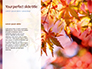 Maple Leaf on Festive Bokeh Background Presentation slide 9