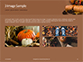 Still Life Harvest with Pumpkins and Gourds for Thanksgiving Presentation slide 12