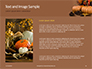 Still Life Harvest with Pumpkins and Gourds for Thanksgiving Presentation slide 15