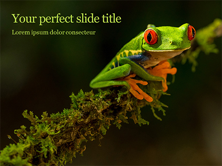 Tropical Red-eyed Tree Frog Presentation Presentation Template, Master Slide