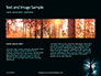 Spooky Night Shot of Tree in Fog Backlit by Streetlight Presentation slide 14
