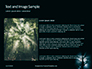 Spooky Night Shot of Tree in Fog Backlit by Streetlight Presentation slide 15