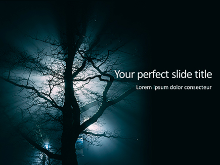 Spooky Night Shot of Tree in Fog Backlit by Streetlight Presentation Presentation Template, Master Slide