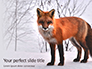 Red Fox in Winter Presentation slide 1