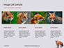 Red Fox in Winter Presentation slide 16