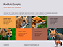 Red Fox in Winter Presentation slide 17