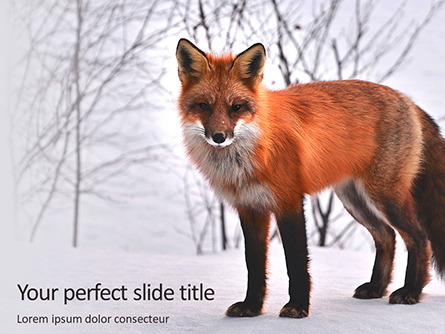 Red Fox in Winter Presentation Presentation Template, Master Slide