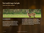 Brown Deer Portrait Presentation slide 14