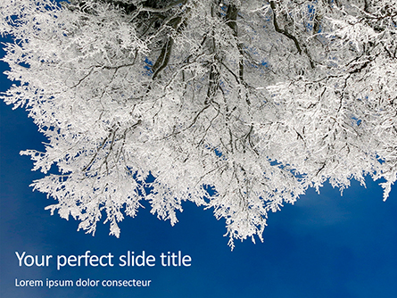 Tree Covered in Snow and Frost Presentation Presentation Template, Master Slide