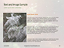 Arborvitae Branch During Snowfall Presentation slide 15