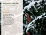 Arborvitae Branch During Snowfall Presentation slide 9