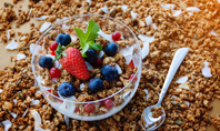 Bowl of Homemade Granola with Yogurt and Fresh Berries Presentation Presentation Template
