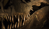 Close up of Giant Dinosaur or T-rex Skeleton Presentation Presentation Template