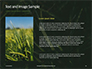 Green Leafed Plant Presentation slide 15