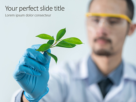 Scientist is Examining Samples of Plants Presentation Presentation Template, Master Slide