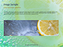 Close-up of Citrus in Water Presentation slide 10